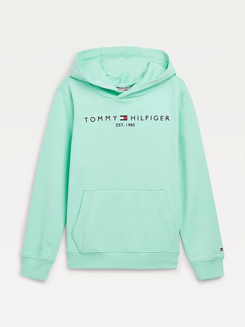 Tommy Hilfiger Essential Logo Hoodie Jongens Groen | TH072KQJ