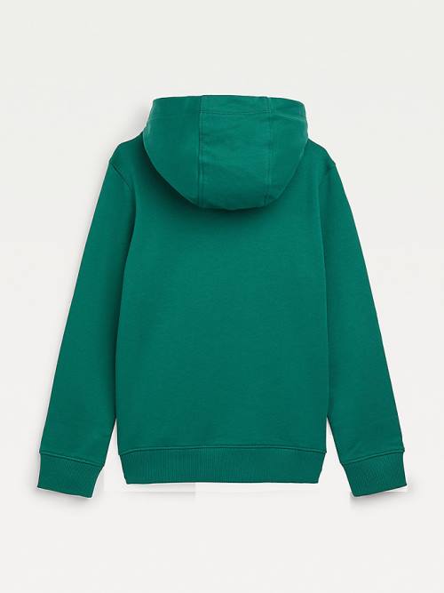 Tommy Hilfiger Essential Logo Hoodie Jongens Groen | TH634KIL