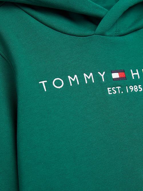 Tommy Hilfiger Essential Logo Hoodie Jongens Groen | TH634KIL