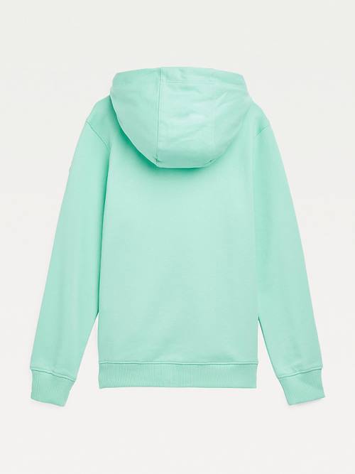 Tommy Hilfiger Essential Logo Hoodie Meisjes Groen | TH329DLM