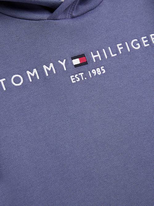 Tommy Hilfiger Essential Logo Hoodie Meisjes Blauw | TH492PLG