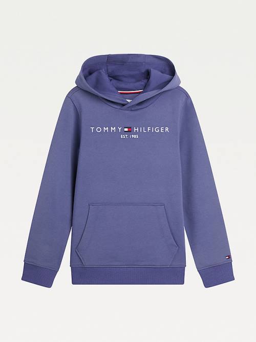 Tommy Hilfiger Essential Logo Hoodie Meisjes Blauw | TH492PLG