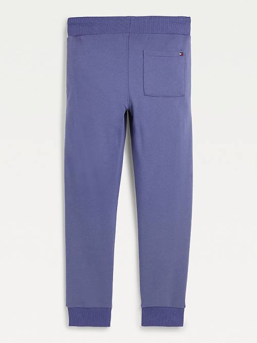 Tommy Hilfiger Essential Logo Joggers Broek Meisjes Blauw | TH512NLY