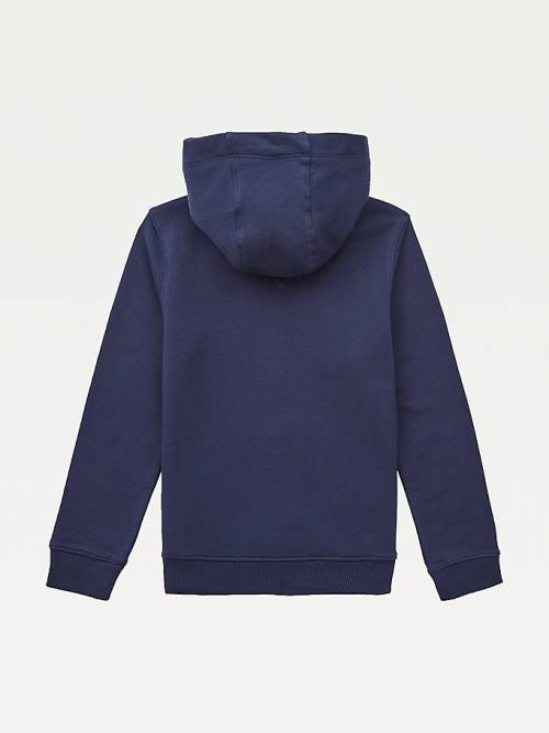 Tommy Hilfiger Essential Logo Organic Katoenen Hoodie Jongens Blauw | TH543PNM