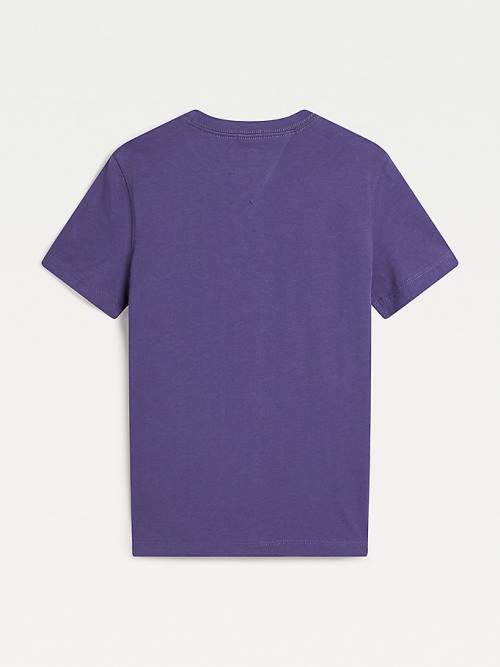 Tommy Hilfiger Essential Organic Katoenen T-shirts Jongens Blauw | TH350STI