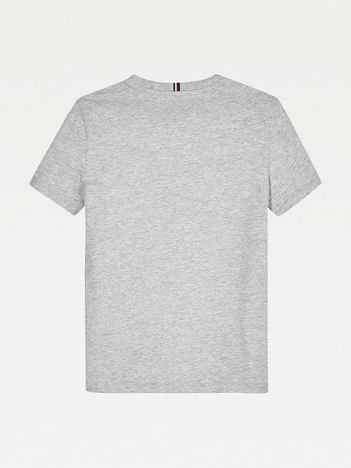 Tommy Hilfiger Essential Organic Katoenen Logo T-shirts Meisjes Grijs | TH370WYX