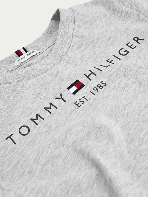 Tommy Hilfiger Essential Organic Katoenen Logo T-shirts Meisjes Grijs | TH370WYX