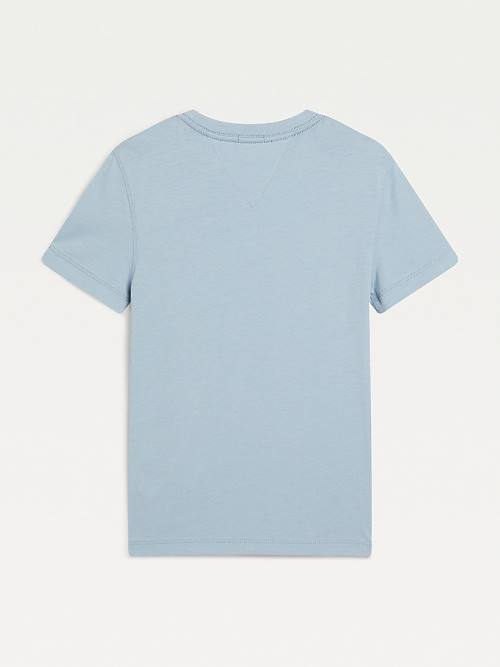 Tommy Hilfiger Essential Organic Katoenen T-shirts Jongens Blauw | TH401ACW