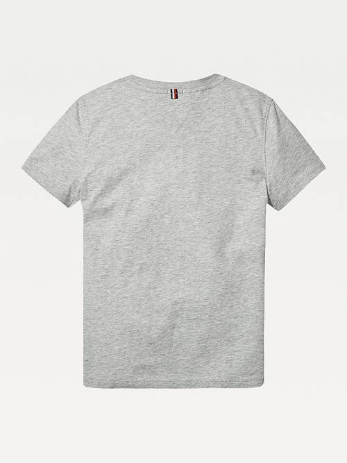 Tommy Hilfiger Essential Organic Katoenen T-shirts Jongens Grijs | TH783JEX