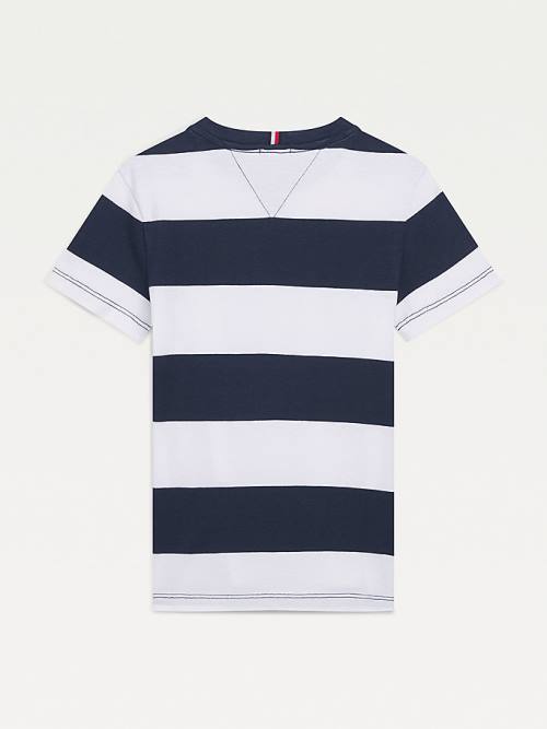 Tommy Hilfiger Essential Organic Katoenen Stripe T-shirts Jongens Blauw | TH835NXT