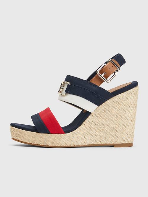 Tommy Hilfiger Essential Plaque High Wedge Heels Sandalen Dames Blauw | TH617OPE