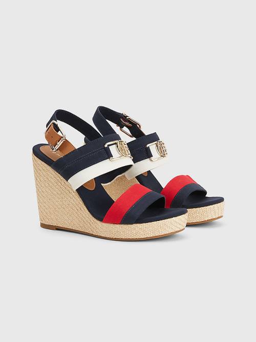 Tommy Hilfiger Essential Plaque High Wedge Heels Sandalen Dames Blauw | TH617OPE