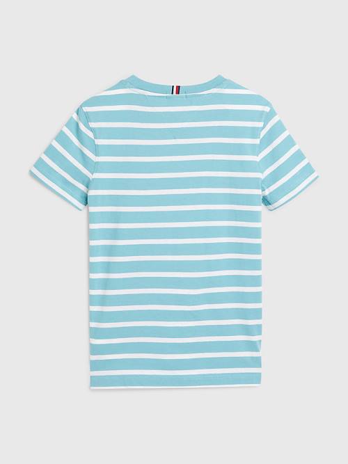 Tommy Hilfiger Essential Stripe T-shirts Jongens Blauw | TH315HXV