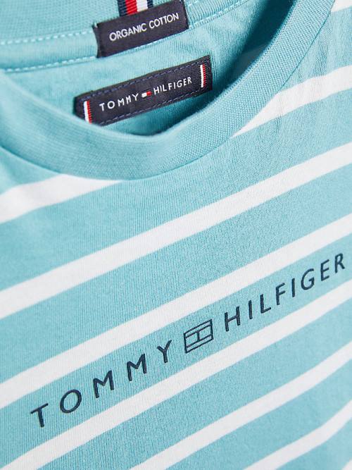 Tommy Hilfiger Essential Stripe T-shirts Jongens Blauw | TH315HXV