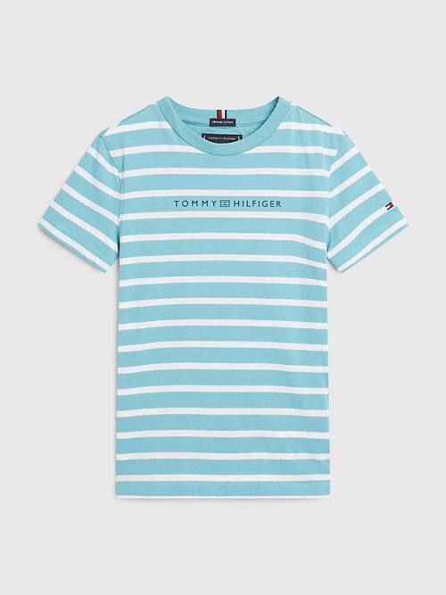 Tommy Hilfiger Essential Stripe T-shirts Jongens Blauw | TH315HXV