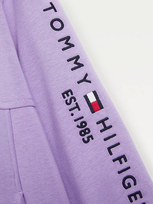 Tommy Hilfiger Essential Sweatshirt Jurken Meisjes Paars | TH236TOI