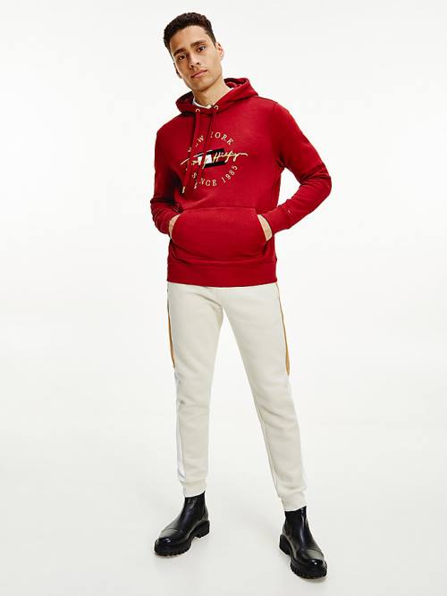 Tommy Hilfiger Exclusive Icons Hoodie Heren Rood | TH435UDK