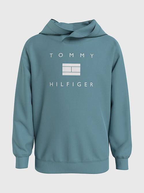 Tommy Hilfiger Flag Logo Hoodie Jongens Blauw | TH360BTR