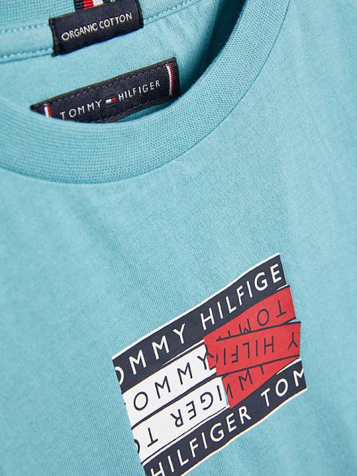 Tommy Hilfiger Flag Logo T-shirts Jongens Blauw | TH964BLN