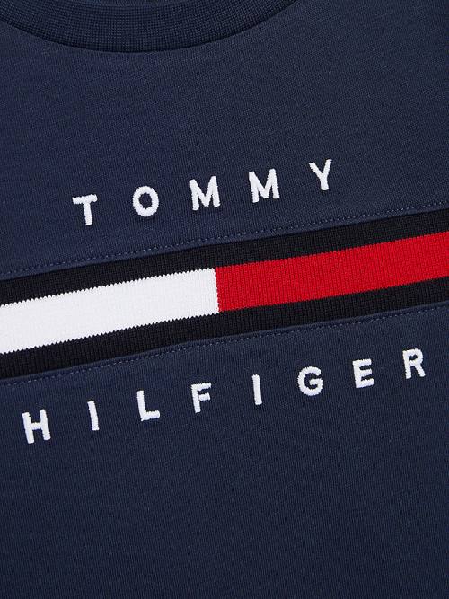 Tommy Hilfiger Flag Rib Insert T-shirts Jongens Blauw | TH960IFW