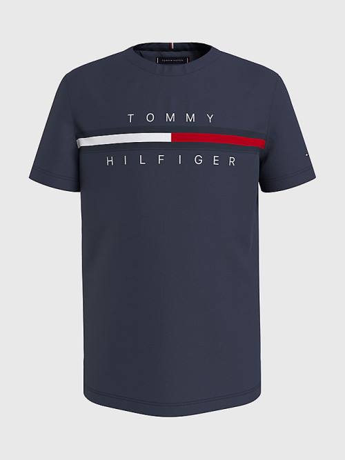 Tommy Hilfiger Flag Rib Insert T-shirts Jongens Blauw | TH960IFW