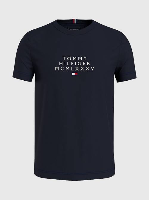 Tommy Hilfiger Graphic Logo T-shirts Heren Blauw | TH410JNA