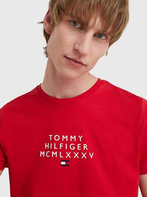 Tommy Hilfiger Graphic Logo T-shirts Heren Rood | TH491BFY