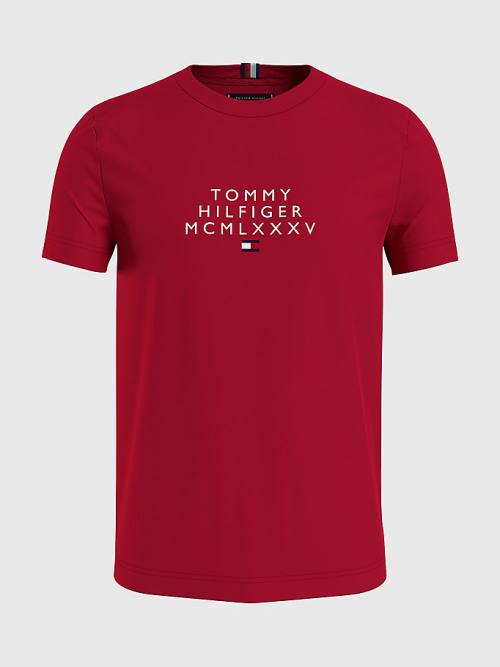 Tommy Hilfiger Graphic Logo T-shirts Heren Rood | TH491BFY