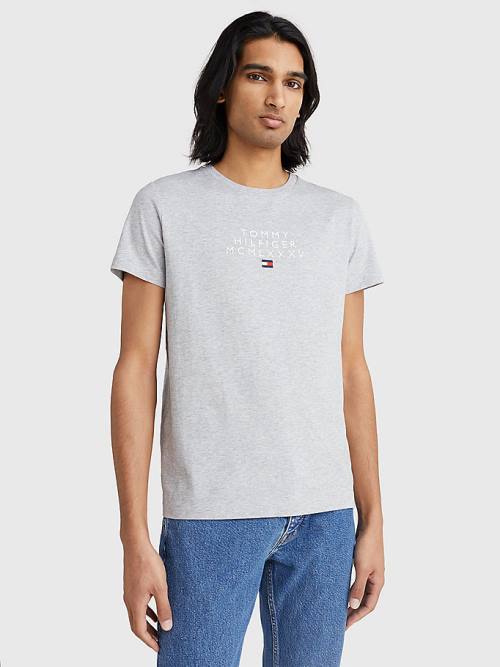 Tommy Hilfiger Graphic Logo T-shirts Heren Grijs | TH827TOF