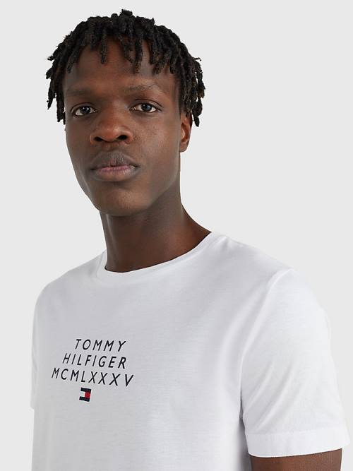 Tommy Hilfiger Graphic Logo T-shirts Heren Wit | TH973ATY