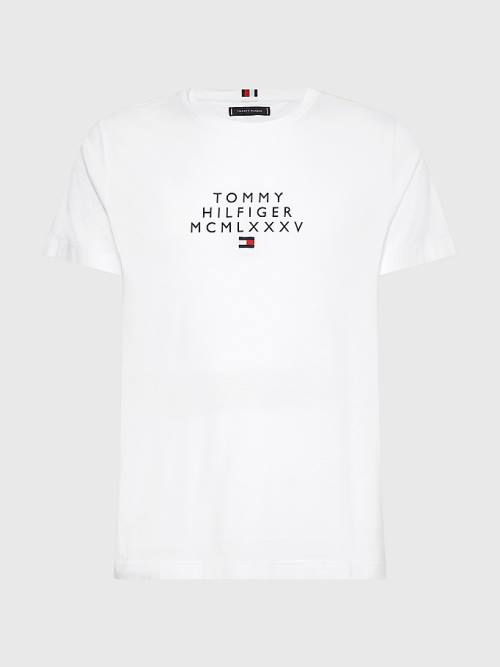 Tommy Hilfiger Graphic Logo T-shirts Heren Wit | TH973ATY