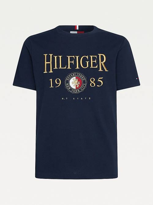 Tommy Hilfiger Icons Relaxed Fit T-shirts Heren Blauw | TH476GPA