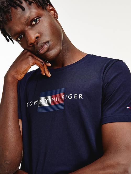 Tommy Hilfiger Lines Logo Organic Katoenen T-shirts Heren Blauw | TH430KJD