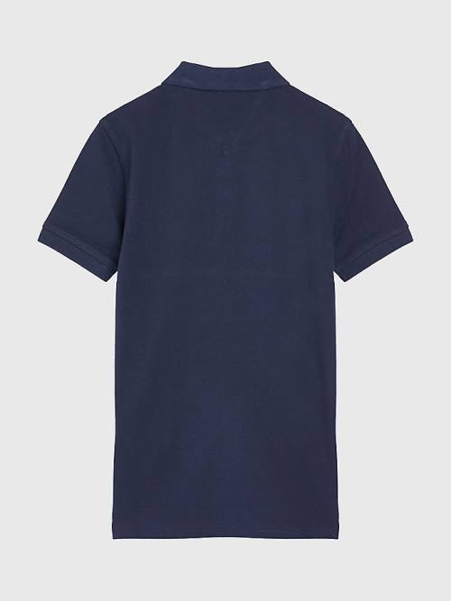 Tommy Hilfiger Logo Colour-Blocked Polo T-shirts Jongens Grijs | TH306LCS