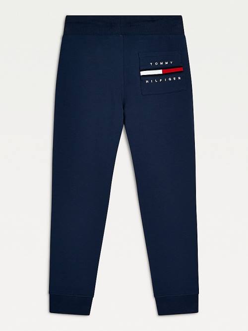 Tommy Hilfiger Logo Embroidery Organic Katoenen Joggers Broek Jongens Blauw | TH651FCE