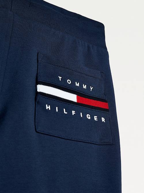 Tommy Hilfiger Logo Embroidery Organic Katoenen Joggers Broek Jongens Blauw | TH651FCE