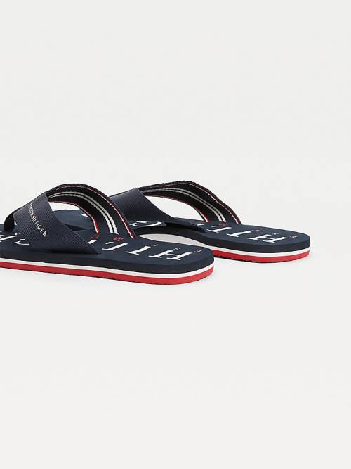 Tommy Hilfiger Logo Flip-Flops Sandalen Heren Blauw | TH264AYG