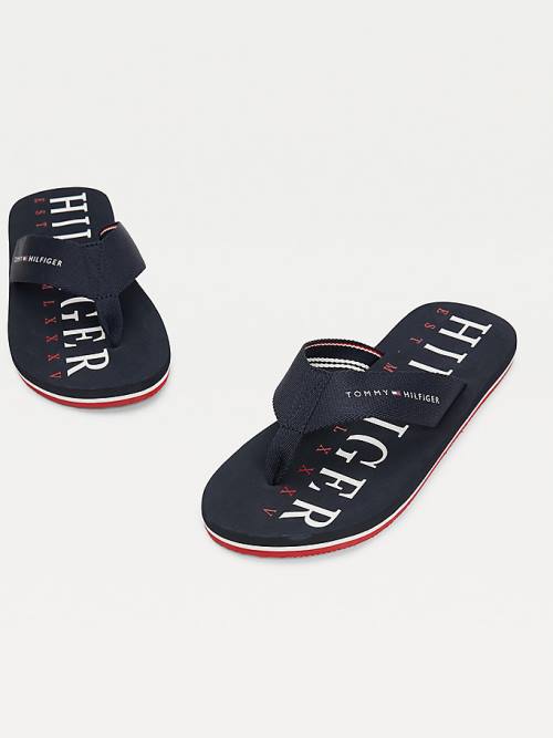 Tommy Hilfiger Logo Flip-Flops Sandalen Heren Blauw | TH264AYG