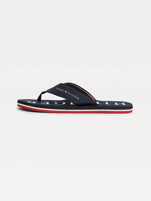 Tommy Hilfiger Logo Flip-Flops Sandalen Heren Blauw | TH264AYG