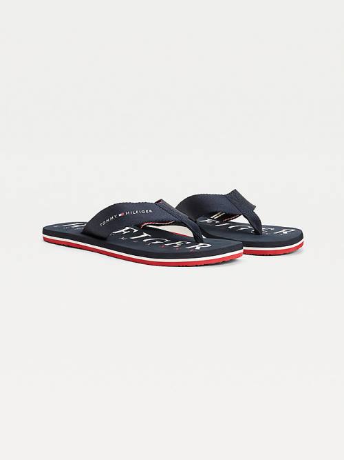 Tommy Hilfiger Logo Flip-Flops Sandalen Heren Blauw | TH264AYG