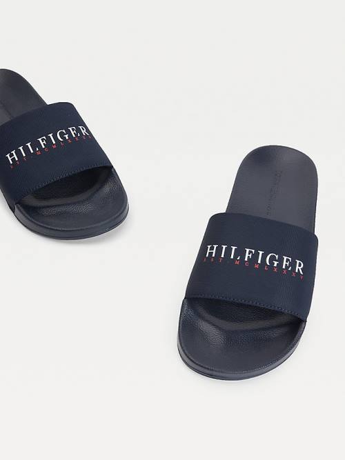 Tommy Hilfiger Logo Slides Sandalen Heren Blauw | TH048WZS