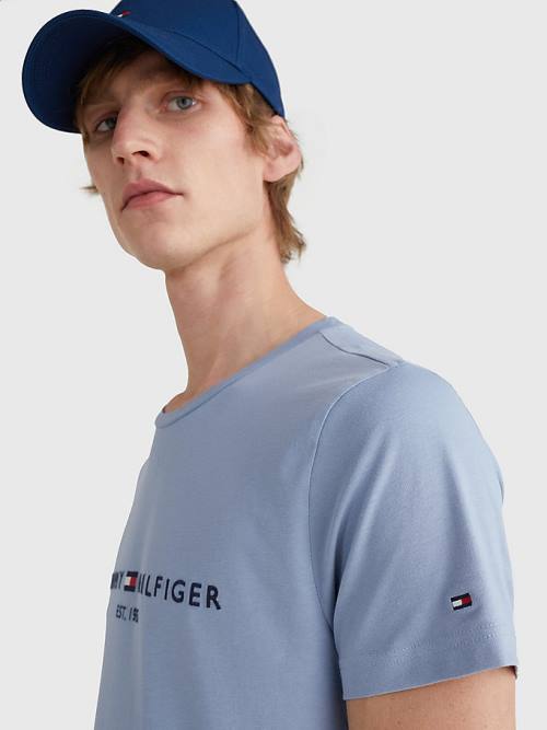 Tommy Hilfiger Logo T-shirts Heren Blauw | TH062ERI