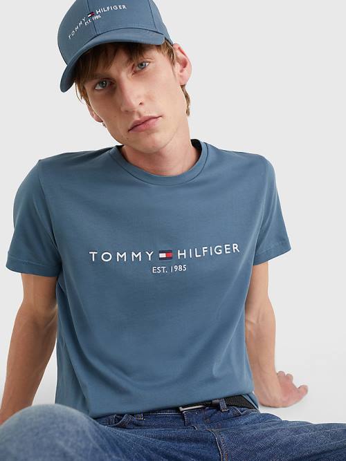 Tommy Hilfiger Logo T-shirts Heren Blauw | TH106QGY