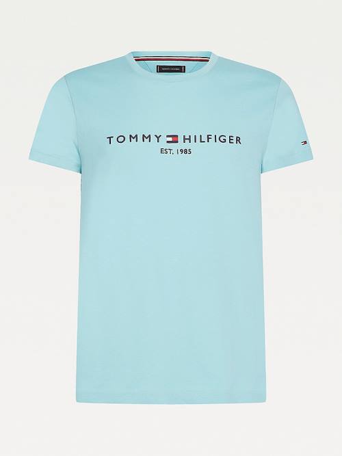 Tommy Hilfiger Logo T-shirts Heren Blauw | TH230MQS