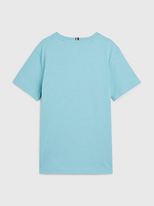 Tommy Hilfiger Logo T-shirts Jongens Blauw | TH463RFB