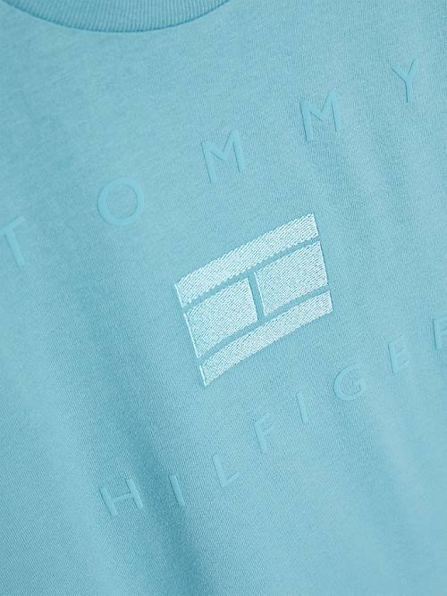 Tommy Hilfiger Logo T-shirts Jongens Blauw | TH463RFB