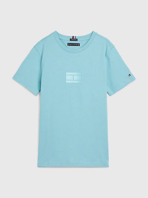 Tommy Hilfiger Logo T-shirts Jongens Blauw | TH463RFB