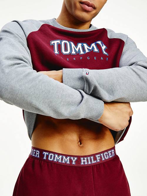 Tommy Hilfiger Logo Waistband Lounge Joggers Pyjamas Heren Paars | TH845MOC