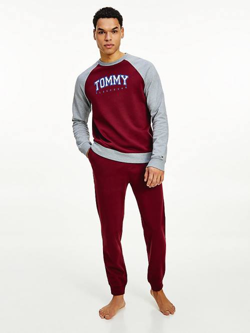 Tommy Hilfiger Logo Waistband Lounge Joggers Pyjamas Heren Paars | TH845MOC