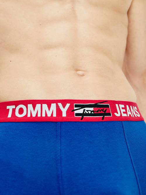 Tommy Hilfiger Logo Waistband Trunks Ondergoed Heren Blauw | TH785UPS